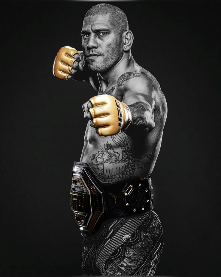 ALEX PEREIRA - UFC course 2.0