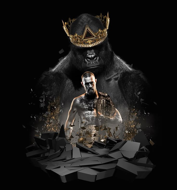 CONOR MCGREGOR - UFC course 2.0