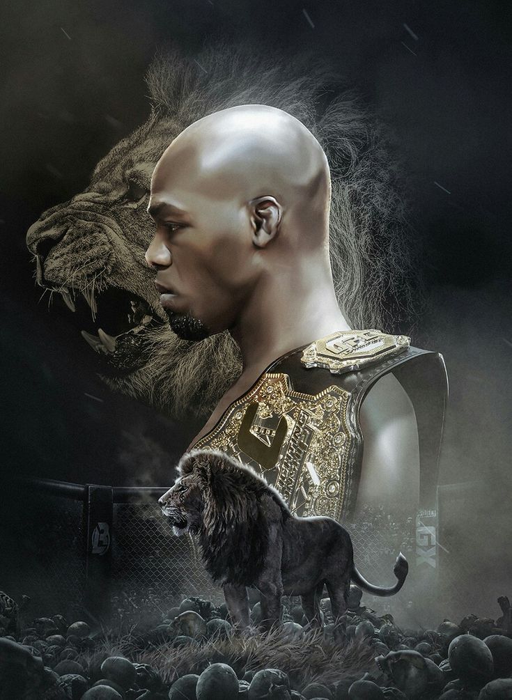 JON JONES - UFC course 2.0